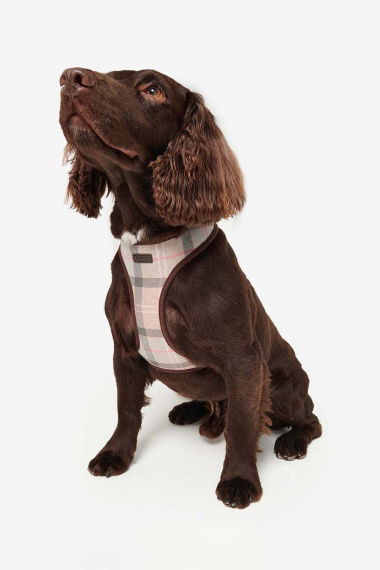 Arnés Tartan Dog