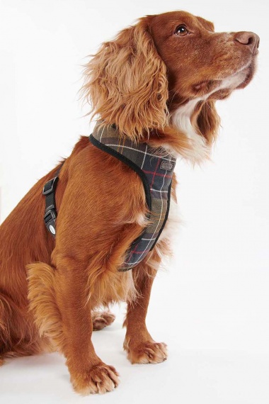 Arnés Tartan Dog