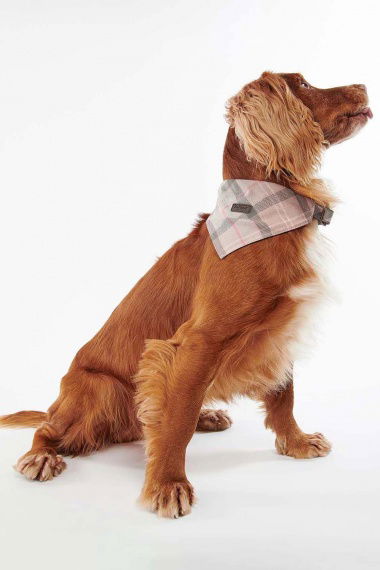 Bandana Tartan Dog