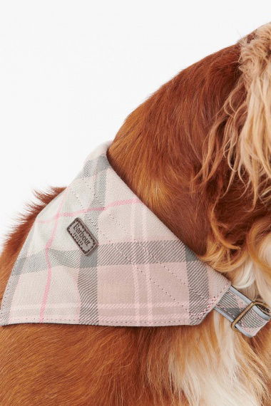 Bandana Tartan Dog