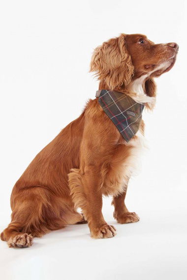 Bandana Tartan Dog