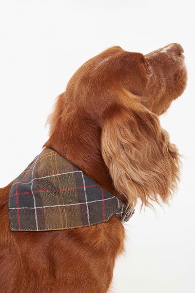 Bandana Tartan Dog