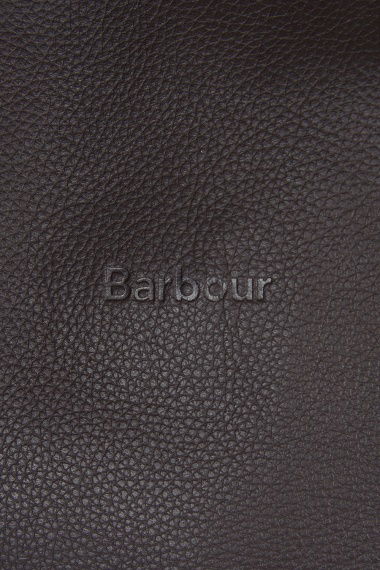 Bolsa Travel Explorer