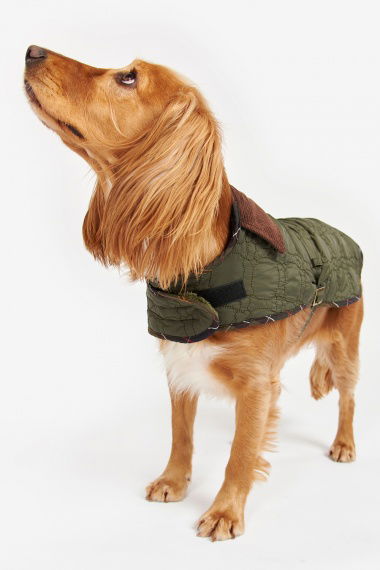 Abrigo Perro Bone Quilted