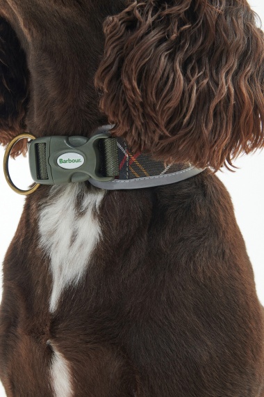 Collar Reflective Tartan Comfort Dog