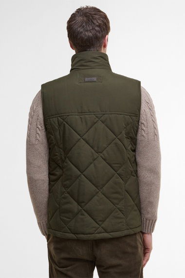 Chaleco Winterdale Gilet