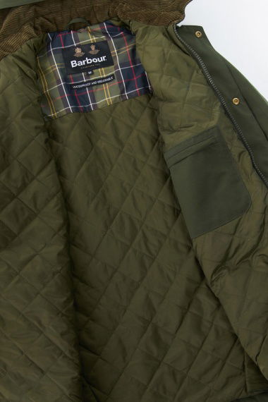 Chaqueta Winter Ashby