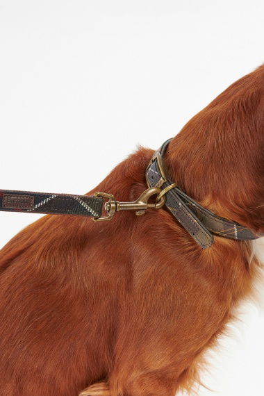 Correa Perro Tartan