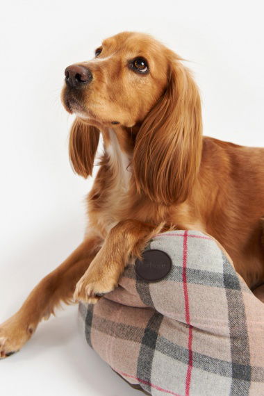 Cama Perro Luxury 24