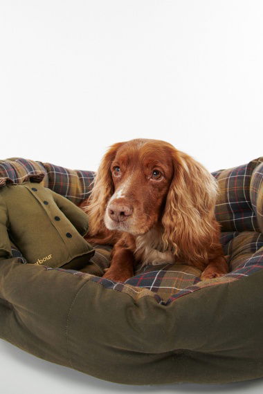 Juguete Perro Jacket