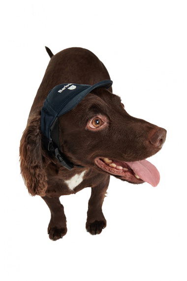 Gorra Perro Cascade