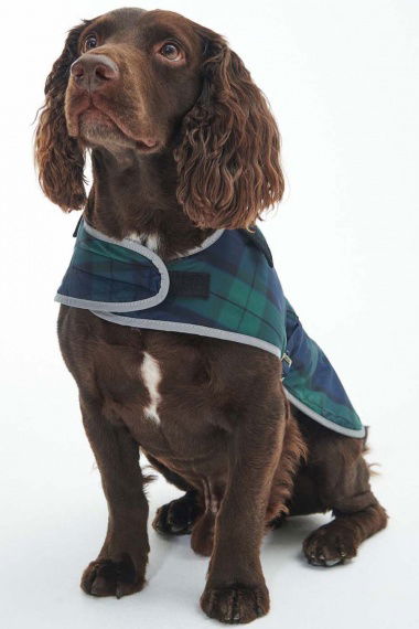 Abrigo Perro Wetherham Tartan