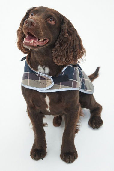 Abrigo Perro Wetherham Tartan