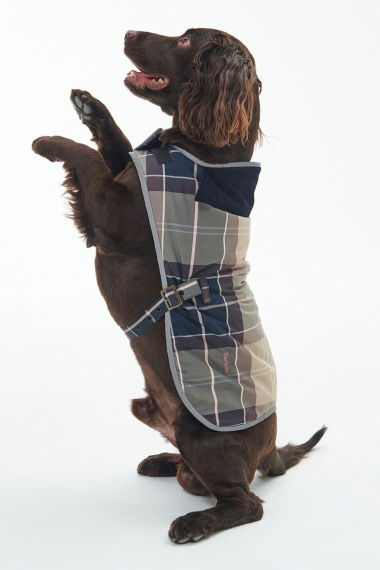 Abrigo Perro Wetherham Tartan